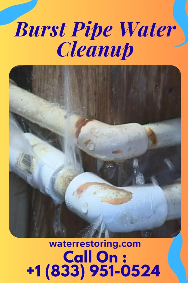Burst Pipe Water Cleanup in Bostic, NC