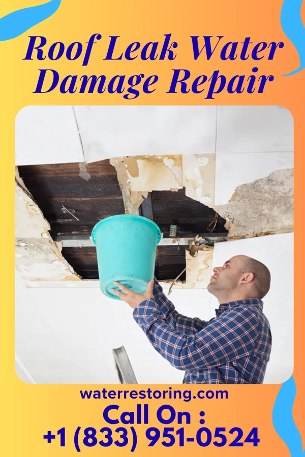 Roof Leak Water Damage Repair in Bostic, NC